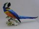 Macaw Parrot Bird Decoration Porcelain Figurine Ens German Figurines photo 1