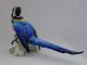 Macaw Parrot Bird Decoration Porcelain Figurine Ens German Figurines photo 2