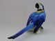 Macaw Parrot Bird Decoration Porcelain Figurine Ens German Figurines photo 3