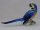 Macaw Parrot Bird Decoration Porcelain Figurine Ens German Figurines photo 4