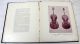 Violin Gallery A.  Dissmore 1895 Photos Stradivarius Scarce String photo 4