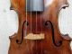 1928 Milano Italian Labeled 4/4 Fine Violin One Piece Back 43 Photos String photo 2