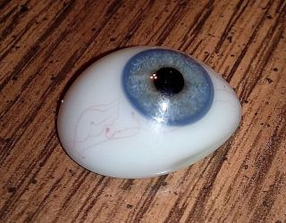 Antigue Pre - Wwii German Medical Human Prosthetic Glass Eye Blue - Grey Iris photo