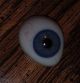 Antigue Pre - Wwii German Medical Human Prosthetic Glass Eye Blue - Grey Iris Optical photo 2