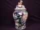Chinese Famille Rose Temple Jar Signed 19 1/2 Inches Foo Dog Handle Vases photo 5