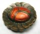 Antique Enamel Button Egyptian Scarab On Flower Design - 1 & 1/16 