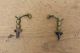 A Early 19th C American Brass Jamb Hooks Made For A Bedroom Fireplace Primitives photo 2