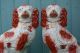 Pair Mid 19thc Large Staffordshire Russet Red & White Spaniel Dogs C1860s Figurines photo 1