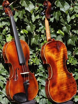 Vintage Czech Violin - Karel Vavra,  Praha.  Tone photo