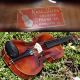 Vintage Czech Violin - Karel Vavra,  Praha.  Tone String photo 2