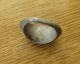 Ancient Roman Silver And Jasper Intaglio Ring,  1nd - 2rd Century Ad. Roman photo 6