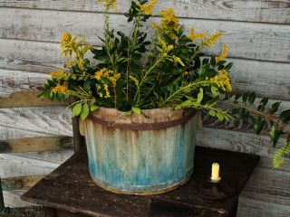 Early 1800s Wooden Farm Feed Bucket Old Style Blue Paint Square Nails Patina Nr photo