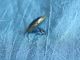 Antique 1800 ' S Button Jeweled & Brass Blue Glass 539a Buttons photo 1