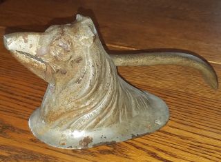 Antique 1920 ' S Figural Dog Head Cast Iron Nutcracker,  Collie,  Wolfhound ? photo