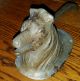 Antique 1920 ' S Figural Dog Head Cast Iron Nutcracker,  Collie,  Wolfhound ? Other Antique Home & Hearth photo 8