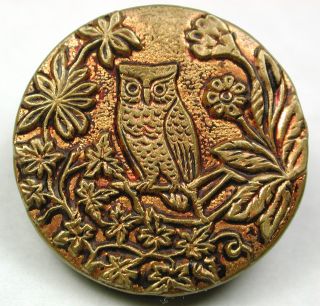 Med Sz Antique Brass Button Owl Perched On Flowering Branch - 15/16 