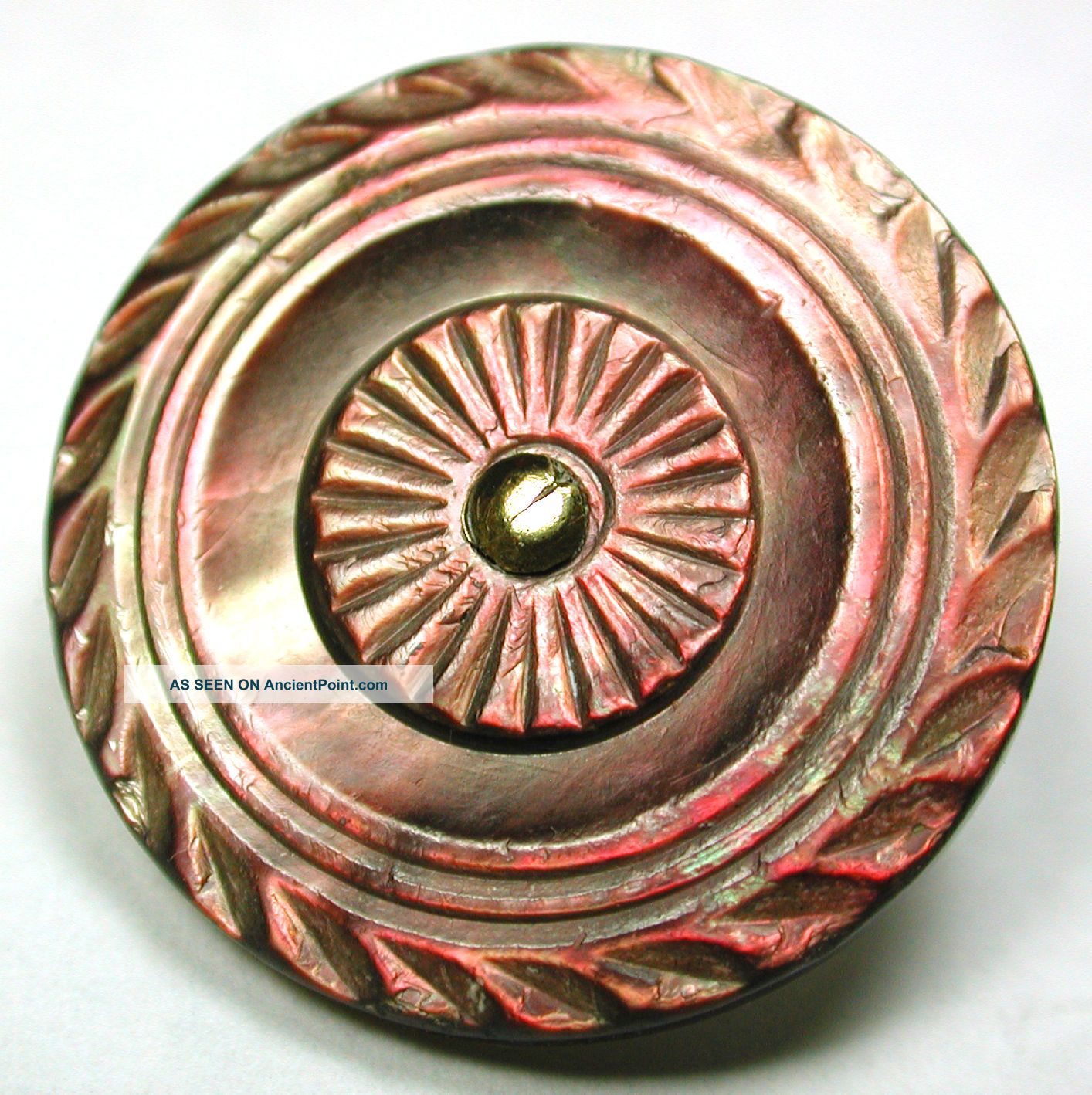 Antique Shell Button Hand Carved Colonial Iridescent Design - 15/16 