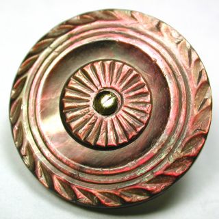 Antique Shell Button Hand Carved Colonial Iridescent Design - 15/16 