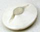 Antique Meiji Era Satsuma Button Detailed Wisteria & Iris W/ Flowers - 1 & 1/8 