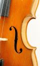 Very Good Antique German Violin,  C.  1935,  One - Piece Back,  Ready To Play String photo 5