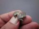 Ancient Roman Bronze Brooch Displayed Wild Rabbit Still Silvered And Niello Inla Roman photo 1