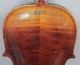 Estate Found Antique C1900 German Full - Size Violin Signed Hopf Model I & Bow String photo 6