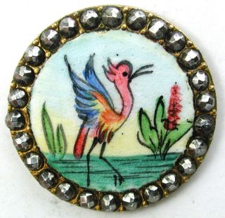 Antique French Enamel Button Colorful Water Bird W/ Cut Steel Border - 15/16 
