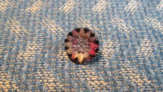 Breathtaking 19th Century Antique Small Lacy Glass Sunflower Button photo