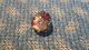 Breathtaking 19th Century Antique Small Lacy Glass Sunflower Button Buttons photo 4