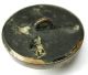 Antique Horn Button Dimensional Yorkie Terrier Dog Head - 1 