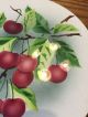 Vintage Antique Porcelain China Round Trivet With Cherries Hot Plate Germany Trivets photo 3