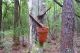 Vintage Turpentine Pot / Herty Pot Primitives photo 1