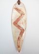 Antique Aboriginal Incised Shell Pendant Dampier W.  A. Pacific Islands & Oceania photo 1