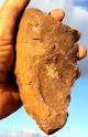 Large Acheulean Nosed Flint Hand Axe Paleolithic Tool Neolithic & Paleolithic photo 4