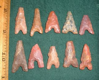 (10) Algerian Sahara Neolithic Points,  Prehistoric African Arrowheads photo