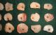 (21) Sahara Neolithic Quartz Beads 12 - 18mm Prehistoric African Artifacts Neolithic & Paleolithic photo 2
