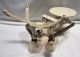 Antique Dry Goods / Mercantile Scale Jacobs Bros Co York - With Pan Scales photo 4