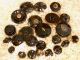 24 Antique Black Glass Buttons Silver & Gold Luster Diminutives Star Of David Buttons photo 1