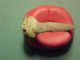 British Found Roman Bronze Ring With Stone Circa 100 - 400 Ad Roman photo 1
