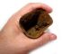 Well Preserved,  Roman Period Iron Bell,  Intact, Roman photo 5