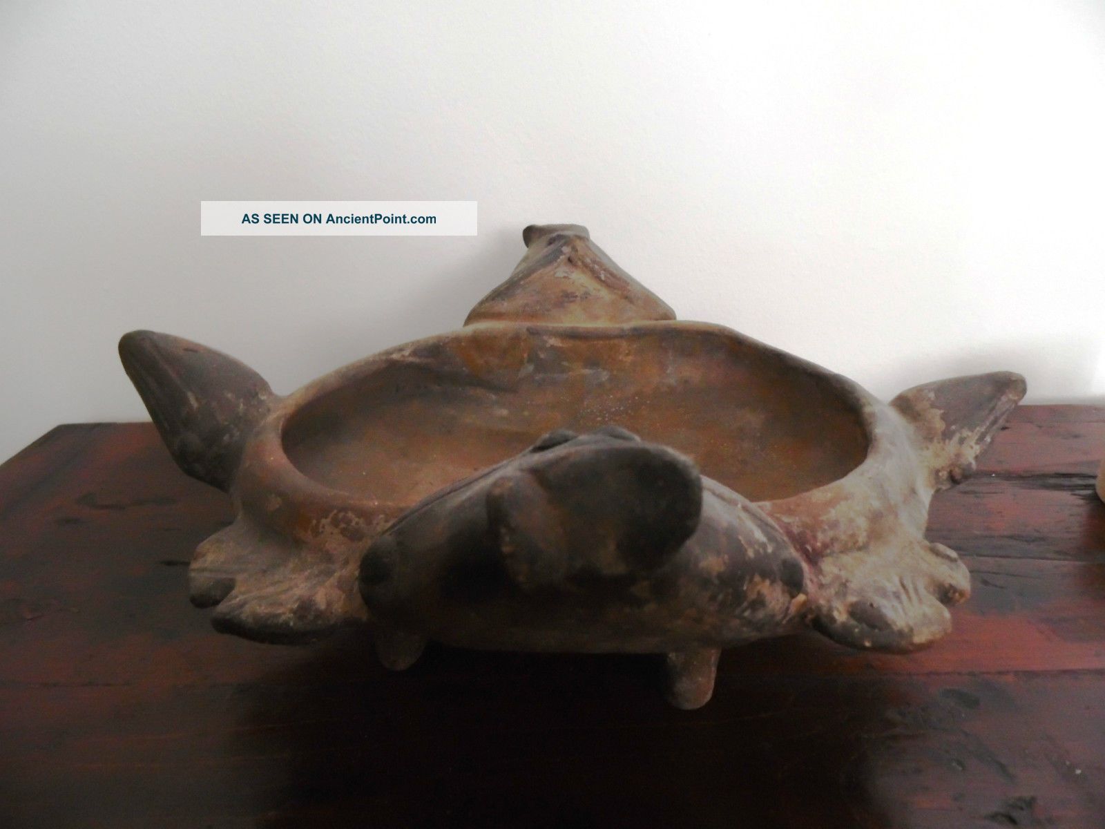 Ancient Pre - Columbian Art Pottery Turtle Bowl Tairona Colombia 1000 - 1550 Ad The Americas photo