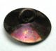 Antique Purple Tinted Steel Button W/ Brass Shooting Star Design - 9/16 