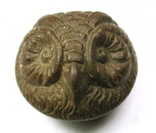 Antique Composition Button Detailed Owl Face Design - 9/16 