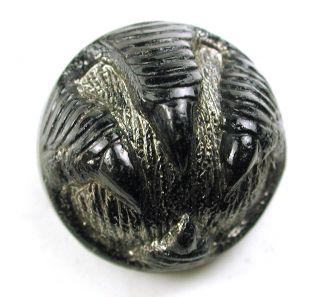 Antique Black Glass Button Eagles Talons Grasping A Ball W/silver Luster - 9/16 