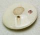 Antique Meiji Satsuma Button Detailed Blue Bird Flowers W/ Gold Accents - 15/16 