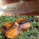 Antique Violin Labelled Francesco Ruggieri,  Cremona.  Wonderful Sound String photo 2