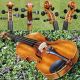 Antique Violin Labelled Francesco Ruggieri,  Cremona.  Wonderful Sound String photo 7
