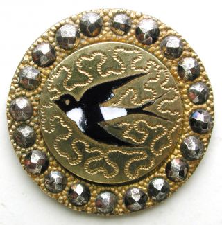 Antique French Enamel Button Black & White Bird W/ Cut Steel Border - 7/8 