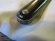 Antique Quality Medical Veterinary Fleam Bleeder Horn? Cased Graillot Paris Other Medical Antiques photo 7