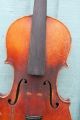 Interesting 19thc Violin With Burr Birds Eye Maple Back Of French Origin C1900 String photo 4
